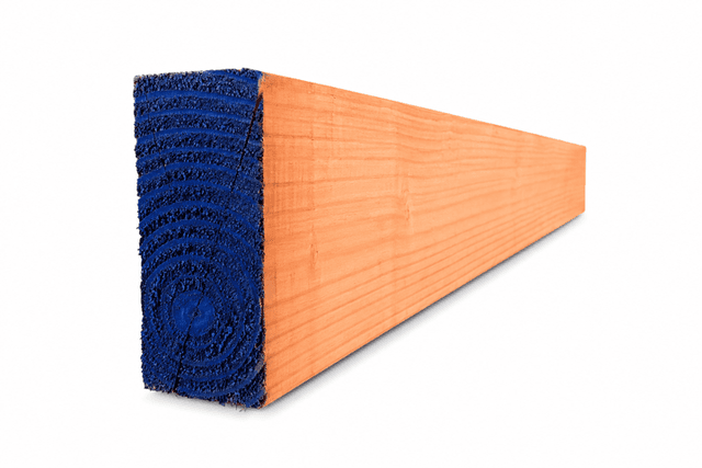 2x4x8 #1